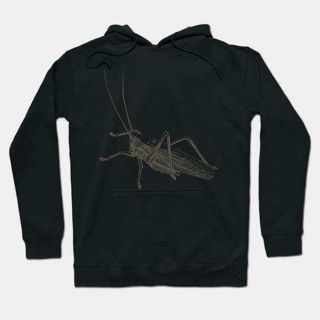 Dramabite Vintage grasshopper illustration Hoodie by dramabite